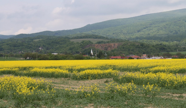 Vyšná Kamenica  