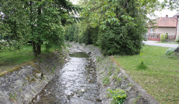 Vyšná Kamenica  